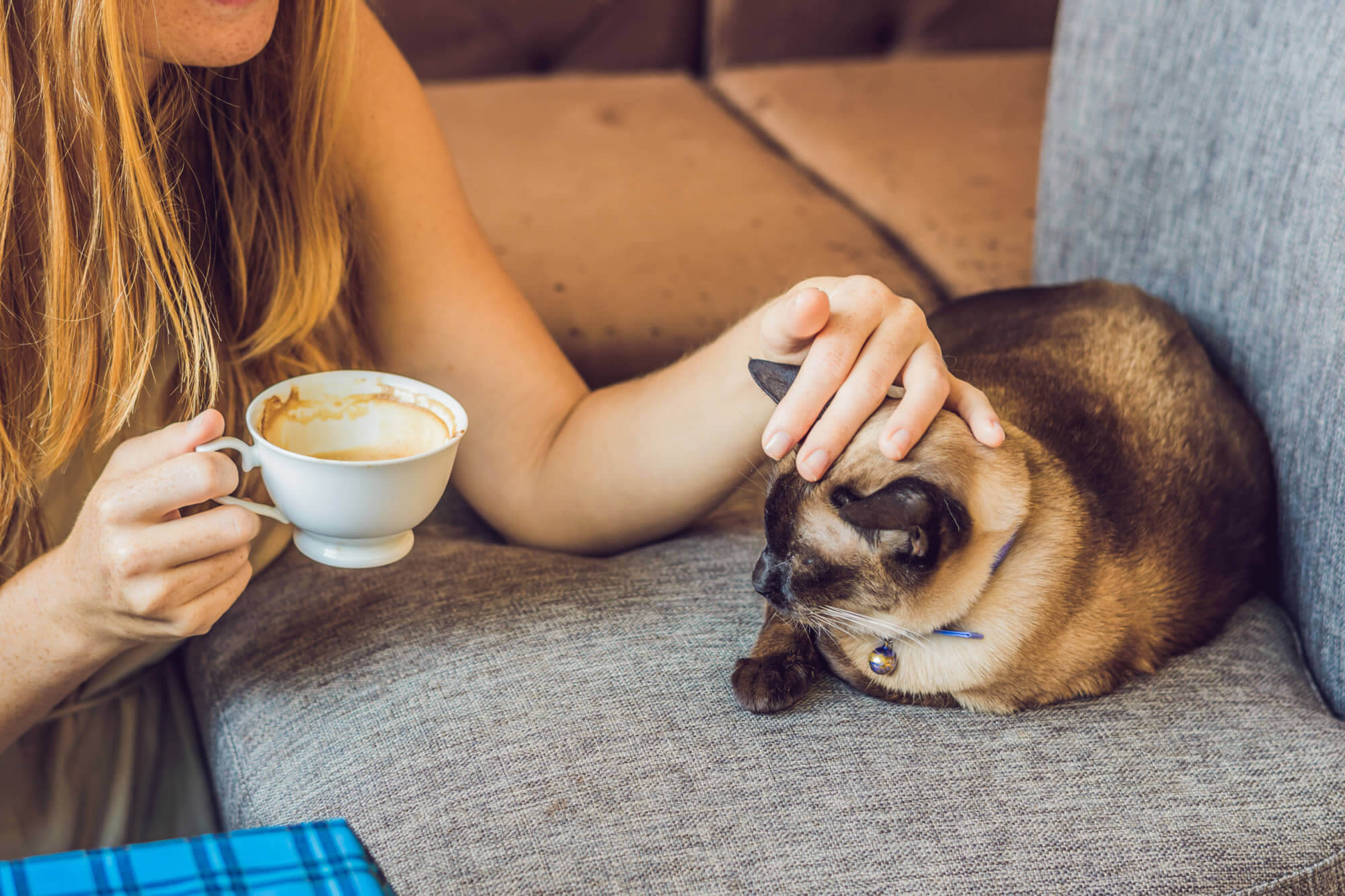 Coffee and Cat